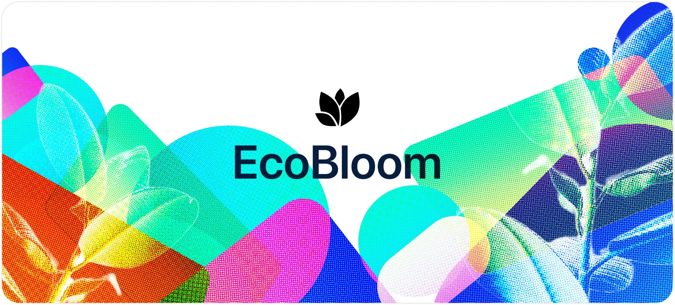 EcoBloom logo over layered colour shapes